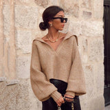 Trizchlor Casual Oversize Brown Woman Sweaters V Neck Knitted Loose Sweater Vintage Lantern Sleeve Female Pullover Women Crop Tops