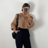 Trizchlor Casual Oversize Brown Woman Sweaters V Neck Knitted Loose Sweater Vintage Lantern Sleeve Female Pullover Women Crop Tops