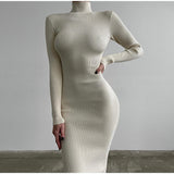 Trizchlor Women Turtleneck Maxi Knitted Dresses Elegant Solid Bodycon Long Sleeve Sweater Dress Spring Office Lady Sexy Chic Dresses